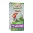 Fungi Perfecti Host Defense Mushrooms MycoBotanicals Brain   