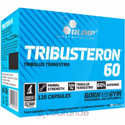 Olimp Tribusteron 60  
