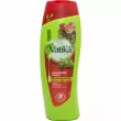 Dabur Naturals Grapeseed and Rosemary Oil Color Protect Shampoo  