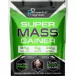 Powerful Progress Super Mass Gainer Ice cream  