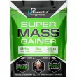 Powerful Progress Super Mass Gainer Ice cream  