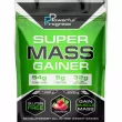 Powerful Progress Super Mass Gainer Strawberry  