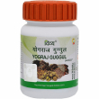 Patanjali Divya Yograj Guggul 80pcs