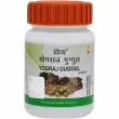 Patanjali Divya Yograj Guggul   