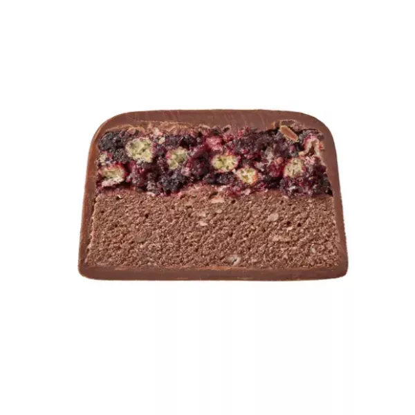 SpaceFood Space Bite Cherry Chocolate �������� 