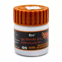 Patanjali Divya Shudh Shilajeet ������� ������� "�������� ���"