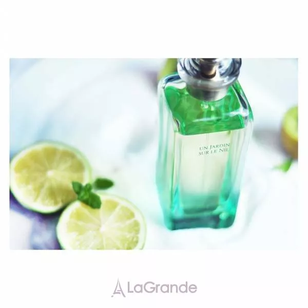 Hermes Un Jardin sur le Nil ����� (��������� ���� 50 �� + ������ ��� ���� 75 ��)
