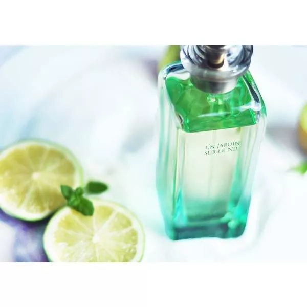 Hermes Un Jardin sur le Nil ���� (�������� ���� 100 �� + �������� 15 �� + ������� ��� ��� 40 ��)