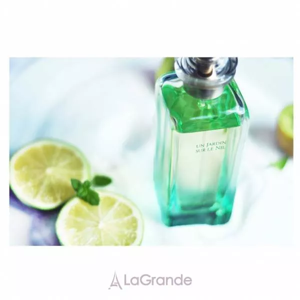 Hermes Un Jardin sur le Nil ����� (��������� ���� 100 �� + ������ ��� ���� 40 �� + ���� ��� ���� 40 �� + ���������� 7,5 ��)