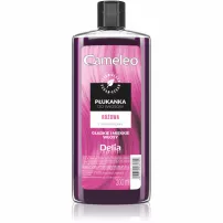 Delia Cosmetics Cameleo ���������� ��������������