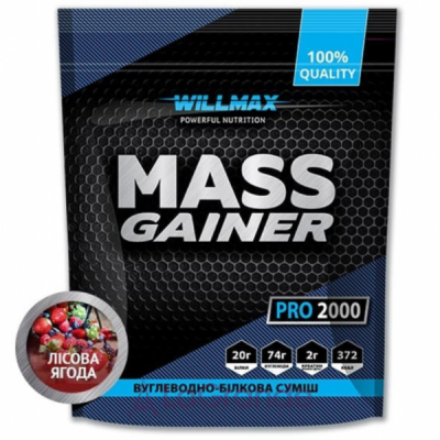 Willmax Mass Gainer Wild Berry         