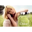 Chloe LEau de Chloe  (  2   5  +   5  +   L'eau de Chloe 2   5 )