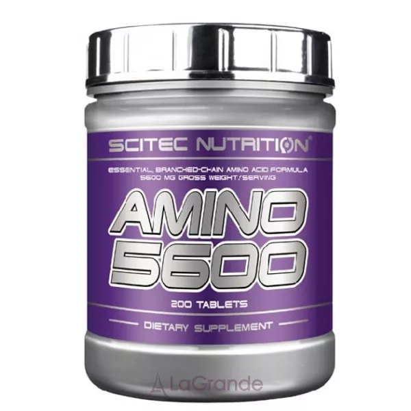 Scitec Nutrition Amino 5600 ������������ ��� ������