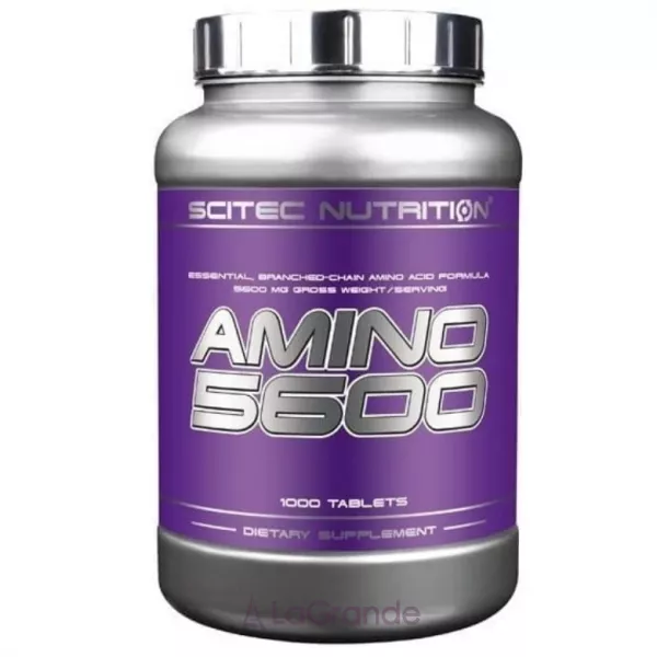 Scitec Nutrition Amino 5600 ������������ ��� ������