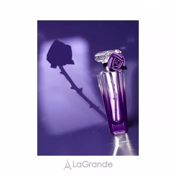 Lancome Tresor Midnight Rose ���� (����������� ���� 30 �� + ������� ��� ��� 50 �� + ���� ��� ���� 50 ��)