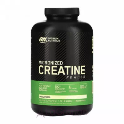 Optimum Nutrition Creatine Powder 5000 mg 