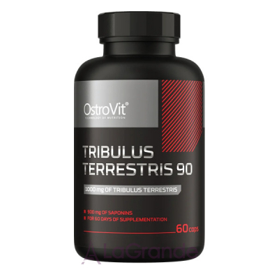 OstroVit Tribulus Terrestris 90    