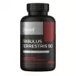 OstroVit Tribulus Terrestris 90    