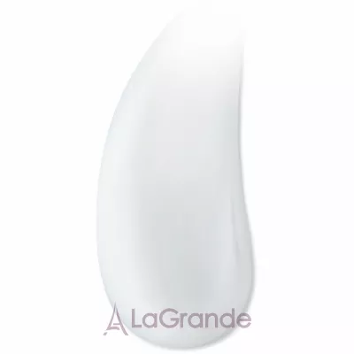 Biotherm Homme Force Supreme Anti-Aging Gel         ()