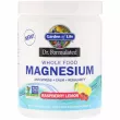 Garden of Life Dr. Formulated Magnesium Powder   