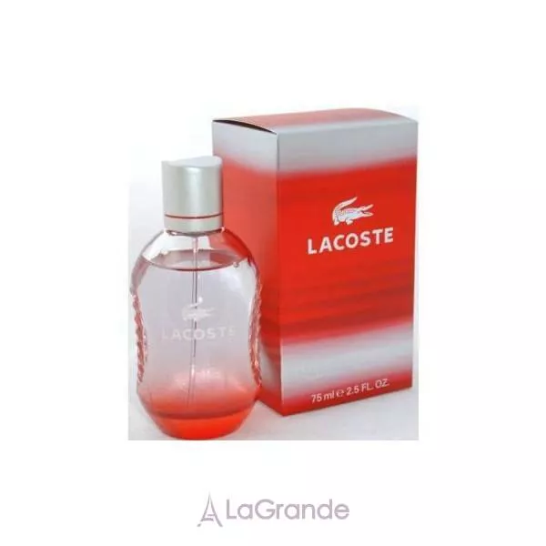 Lacoste Style in Play ���� (�������� ���� 75�� + ���� ��� ���� 50�� 2��)