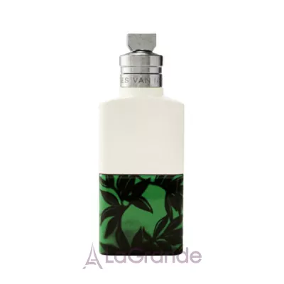 Dries Van Noten Santal Greenery   ()