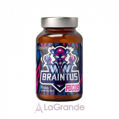 OstroVit Braintus Focus ĳ       