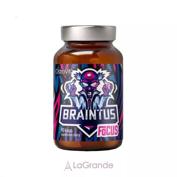 OstroVit Braintus Focus ĳ������ ������� ��� ��������� ������ ����� � ��������