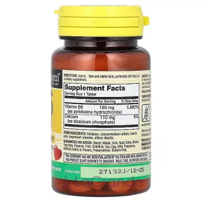 Mason Natural Vitamin B6 100 mg   