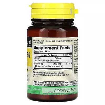 Mason Natural Vitamin B6 250 mg ĳ  