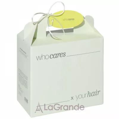 Who Cares Fundamental Repair 2.0 Hair Set     (shm/300ml + h/cond/300ml)