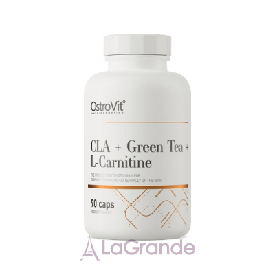 OstroVit CLA + Green Tea + L-carnitine     