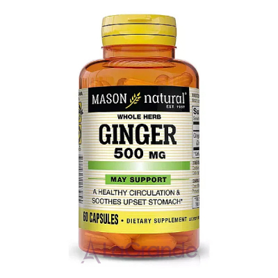 Mason Natural Ginger 500 mg ĳ  