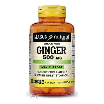 Mason Natural Ginger 500 mg ĳ  
