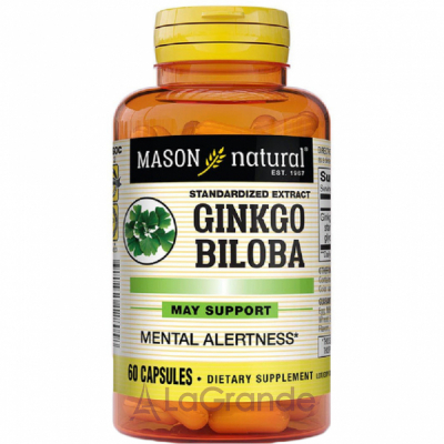 Mason Natural Ginkgo Biloba ĳ  