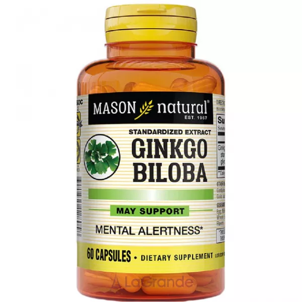 Mason Natural Ginkgo Biloba ĳ������ ������� 