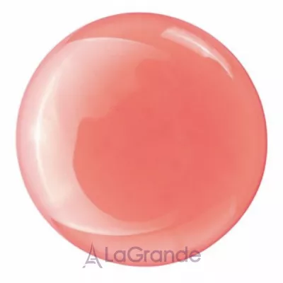 Bless Beauty Care Lip Oil   