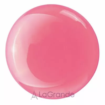 Bless Beauty Care Lip Oil   