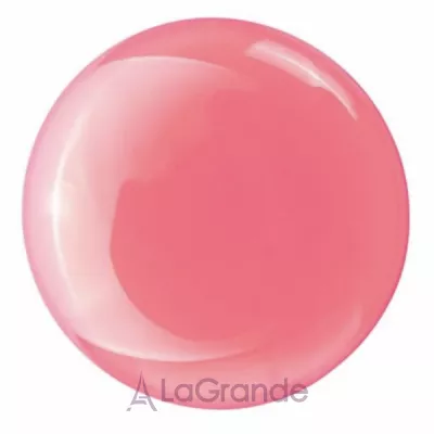 Bless Beauty Care Lip Oil   