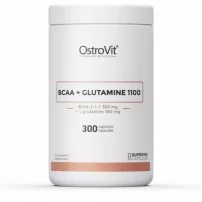 Ostrovit bcaa+glutamine 1100 mg �������������� �������� � ��������