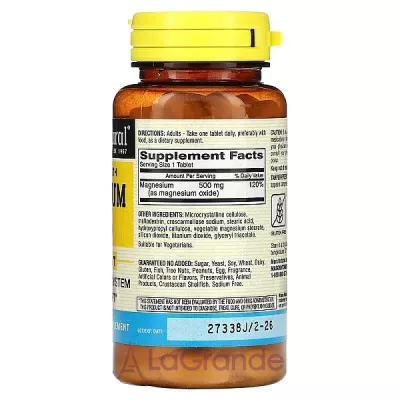 Mason Natural Magnesium Extra Strenght 500 mg ĳ  