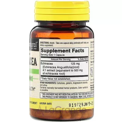 Mason Natural Echinacea      