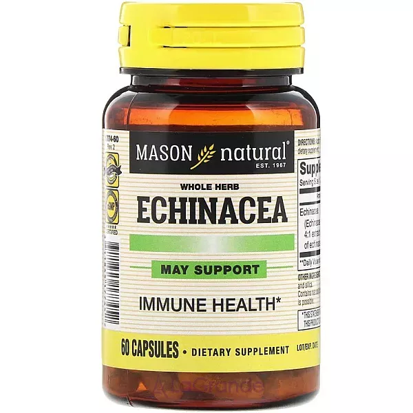 Mason Natural Echinacea ����������� ������� ��� ��������� ���������� 