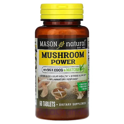 Mason Natural Mushroom Power    '   