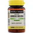 Mason Natural Ginkgo Biloba ĳ  