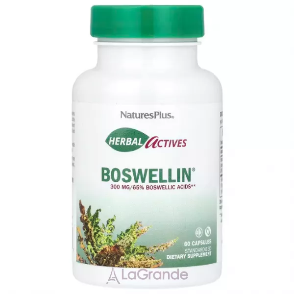 NaturesPlus Boswellin 300 mg ����������� ������� 