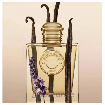Burberry Gold Eau de Parfum  