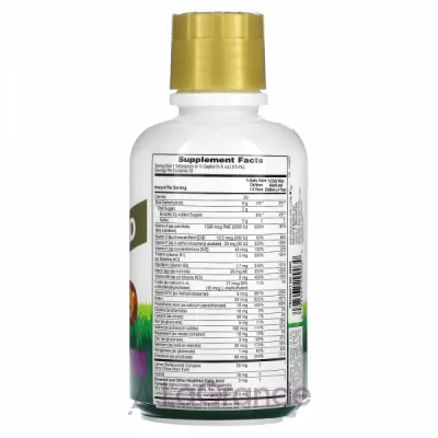 NaturesPlus Children's Multivitamin Liquid Animal Parade Gold г     ,    