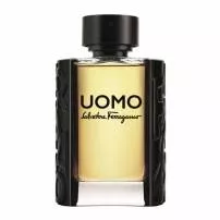 Salvatore Ferragamo Uomo �������� ���� (������)