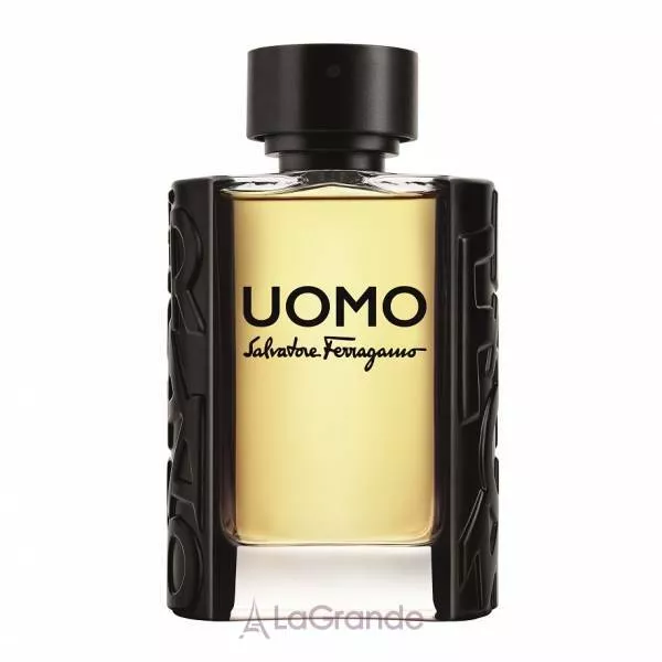 Salvatore Ferragamo Uomo �������� ���� (������)